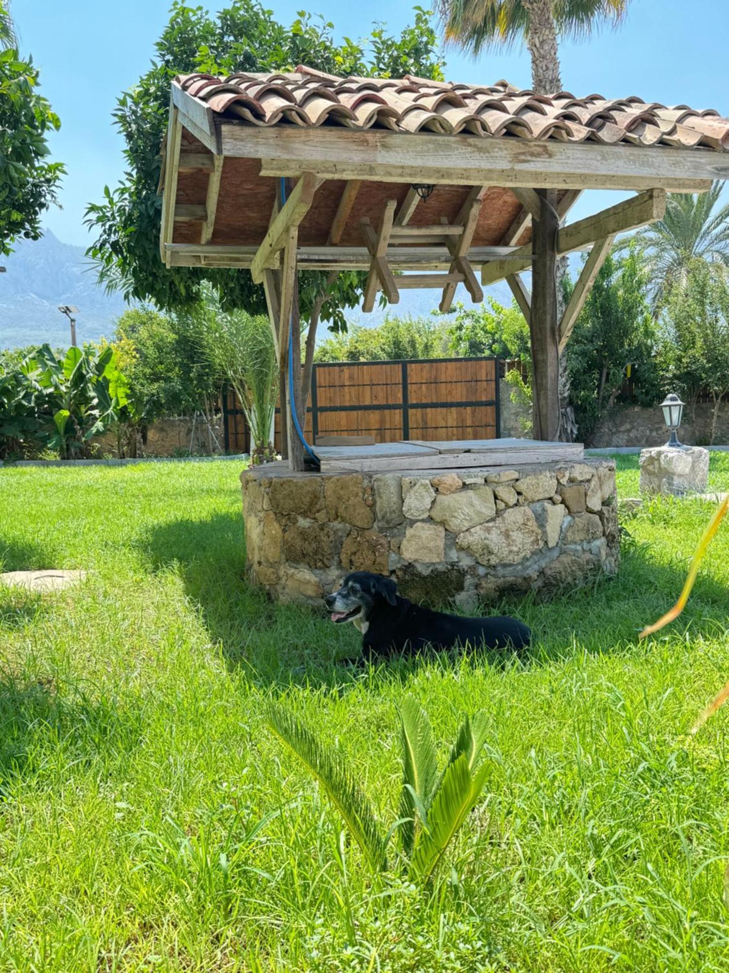 The Horse Farm Hotel Agios Georgios  Exterior photo