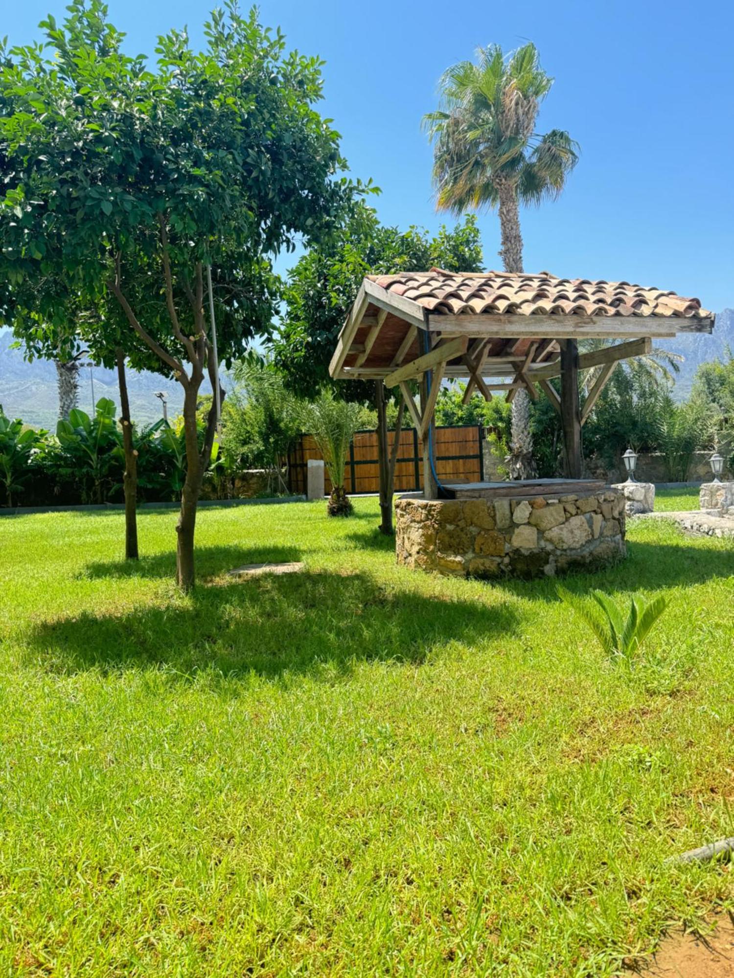 The Horse Farm Hotel Agios Georgios  Exterior photo
